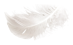 layer